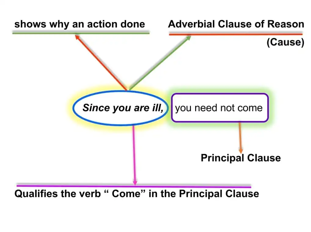 Adverbial Reason (Cause)