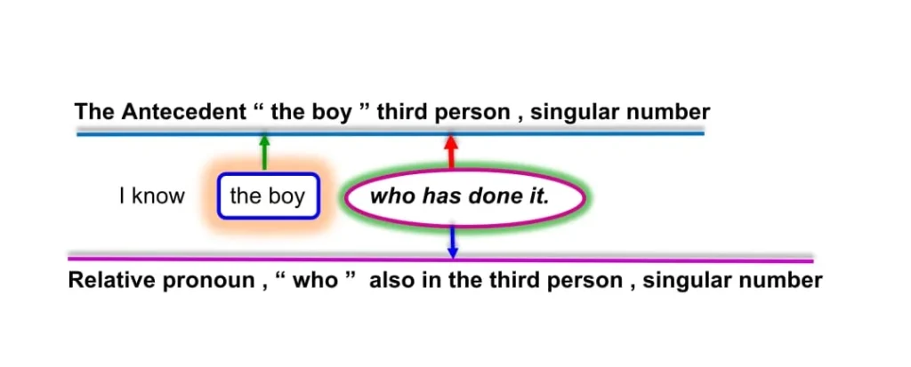 Antecedent Example in Adjective Clause