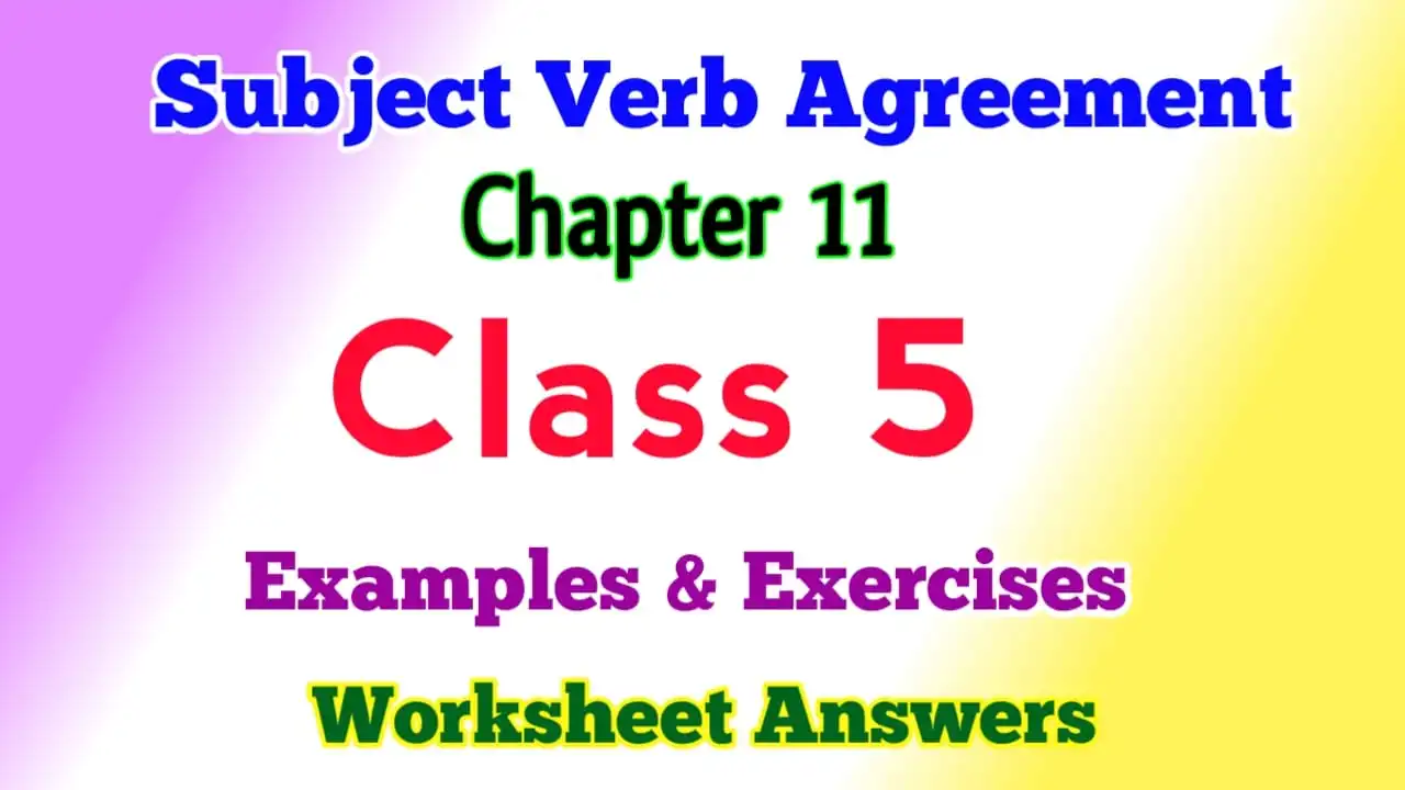 Subject and Verb Agreement Class 5 English Grammar