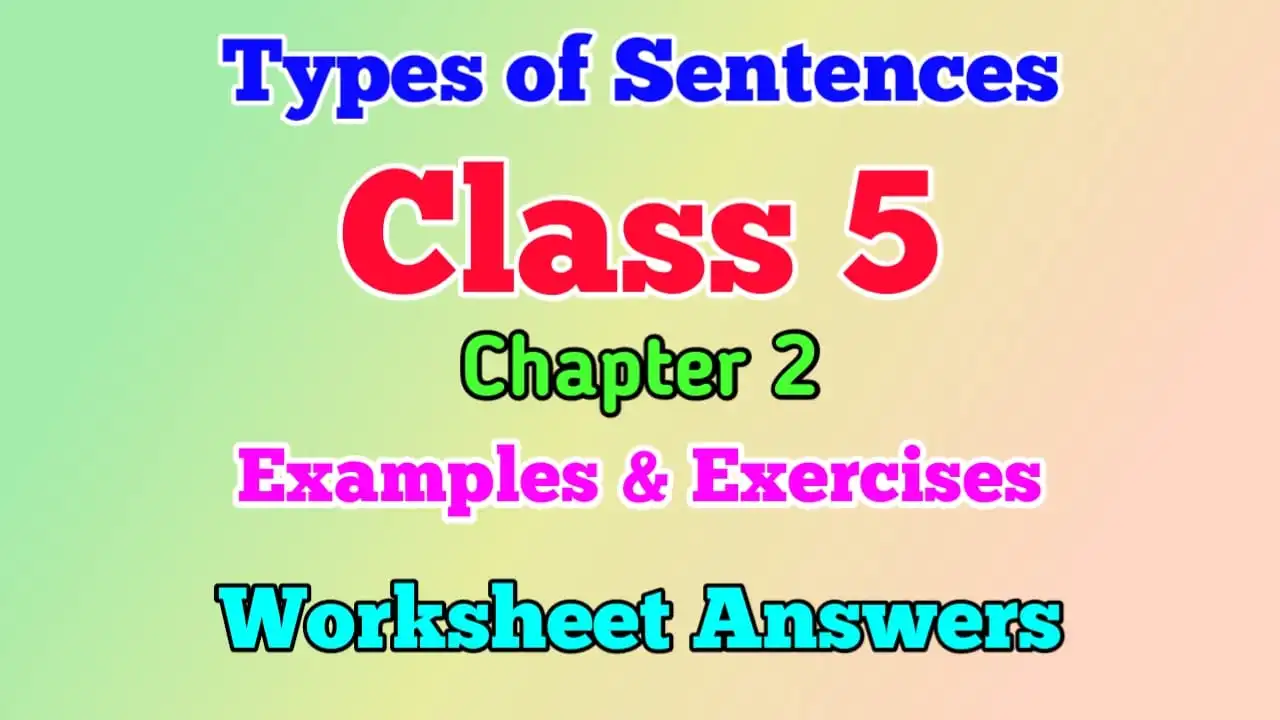 types-of-sentences-class-5-english-grammar-worksheet