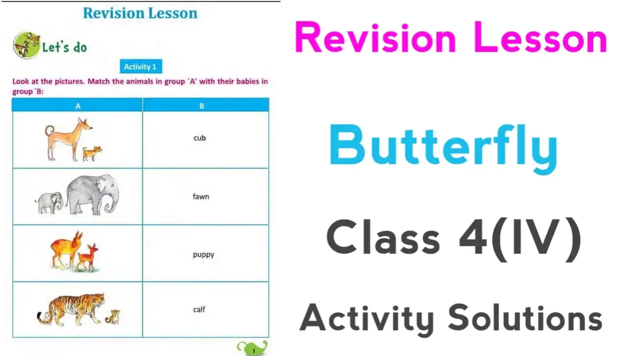 class 4 butterfly english book solution lesson 1