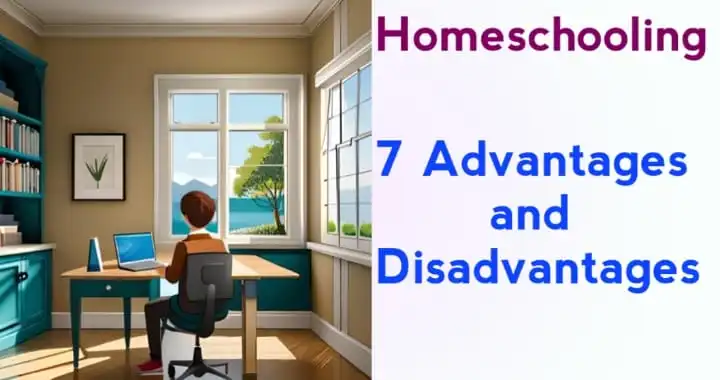 the disadvantages of home schooling essay