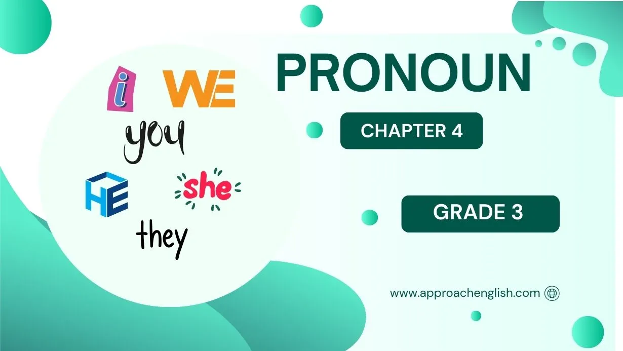 pronoun-class-3-worksheet-with-answers-chapter-4