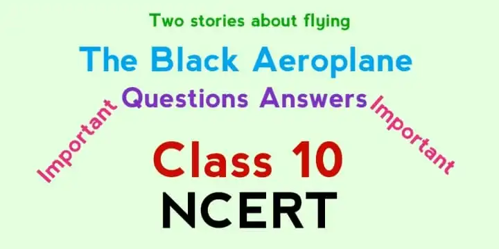 class 10 english chapter 3 the black aeroplane question answer pdf