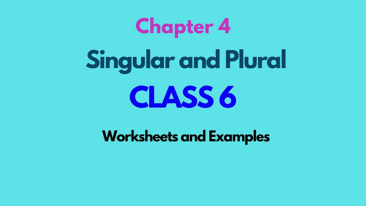 Class 6 Singular Plural Nouns Worksheets Examples Chapter 4