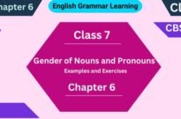 Gender of Nouns and Pronouns Examples Exercises for Class 7